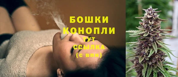 дурь Вяземский