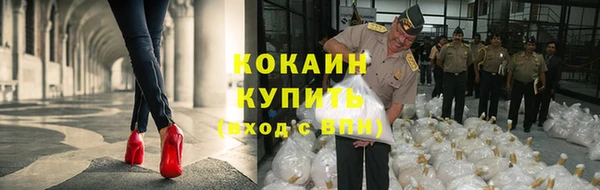 крисы Вязники