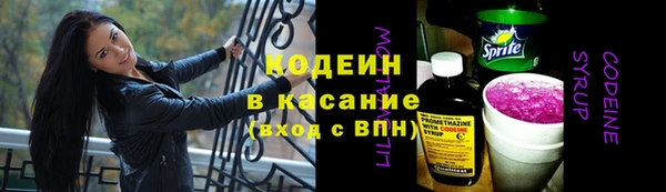 дурь Вяземский