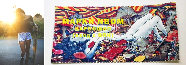 спиды Вязьма
