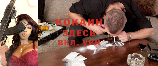дурь Вяземский