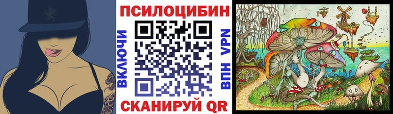 Псилоцибиновые грибы мицелий  где найти   Надым 